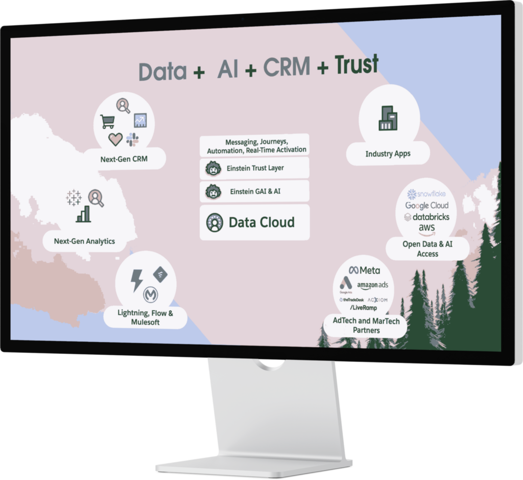 Salesforce Data Cloud